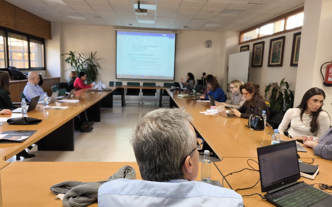 We Met in Salamanca – 2nd Transnational Project Meeting of Teachers’ HAVEN Partners